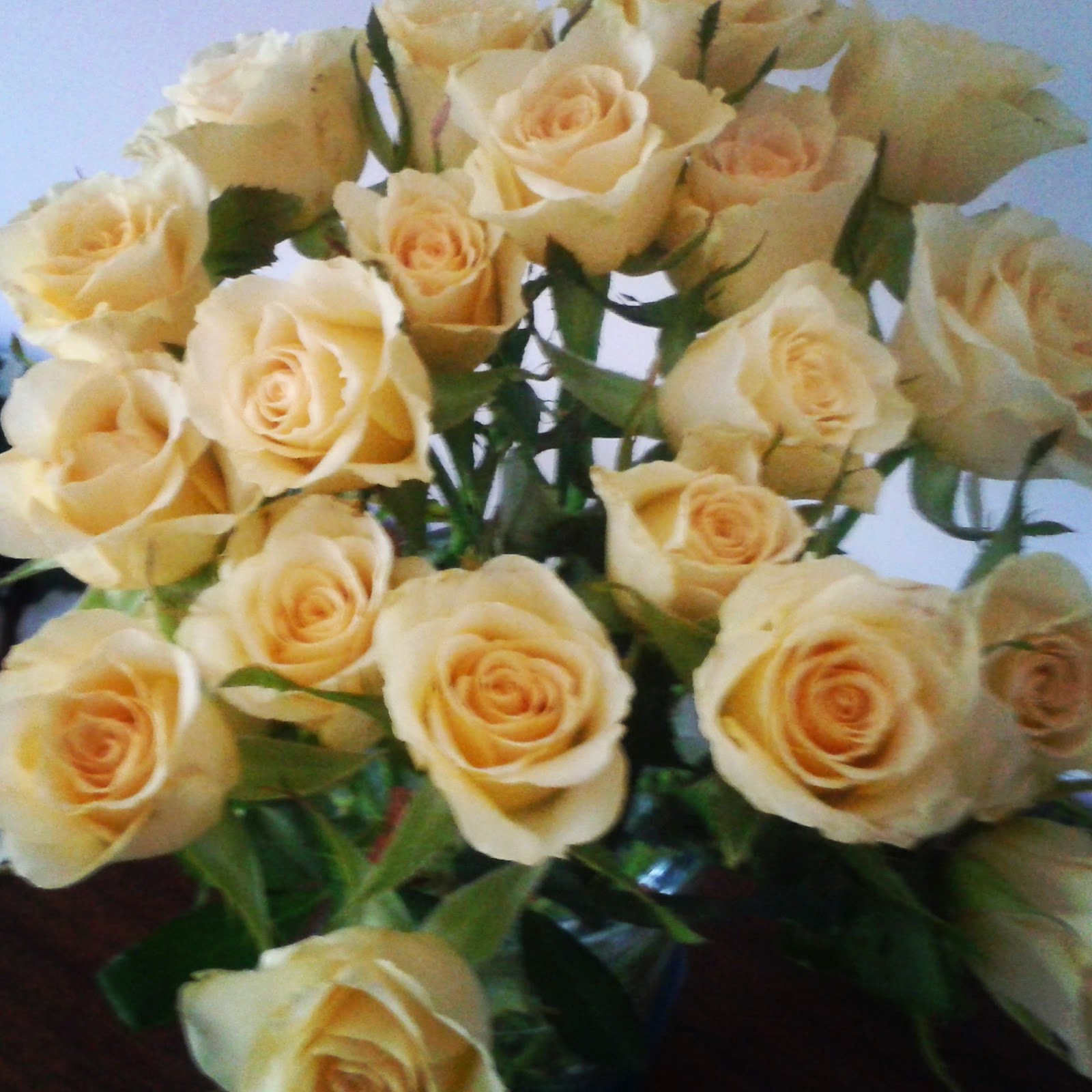 IMG_20150208_111455 Nothing good rhymes with Charlotte